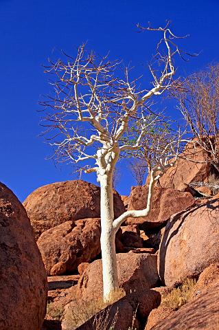 123 Twijfelfontein, Damaraland, mowani mountain camp.JPG